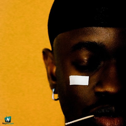 Mannywellz